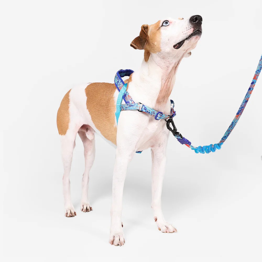 Anti-Pull SofterWalk Harness