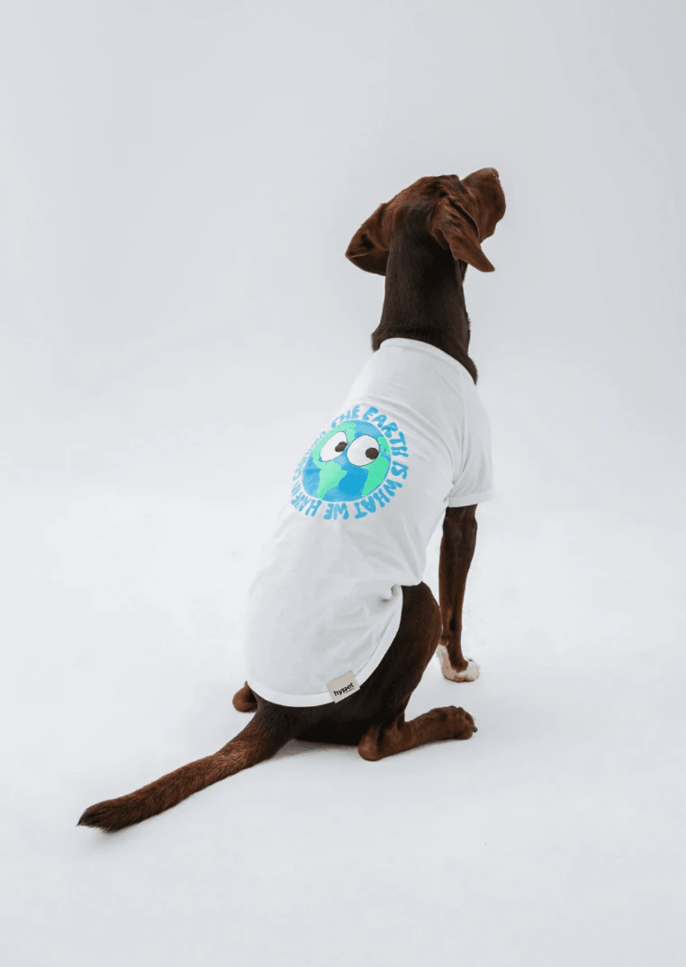 Earth Tee
