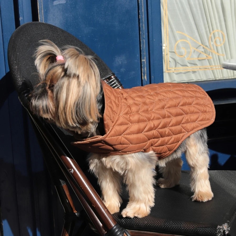 CozyQuilt Kapitone Köpek Yağmurluğu