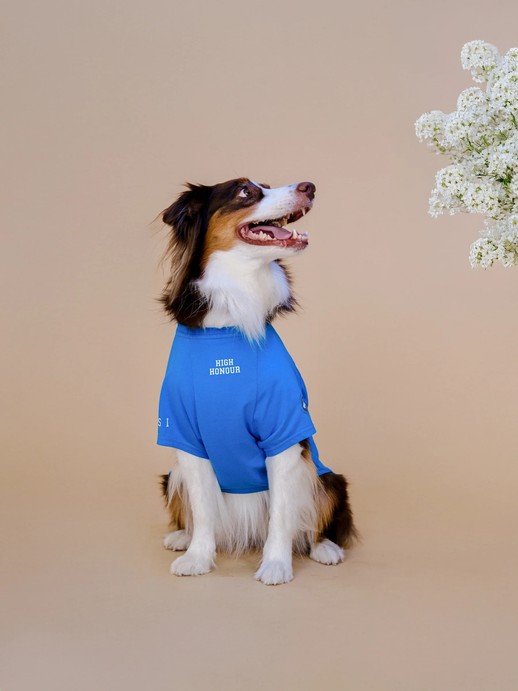 CANINE COLLEGE HIGH HONOUR TSHIRT 