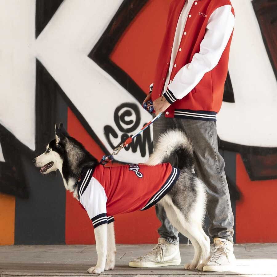 College Köpek Sweatshirt