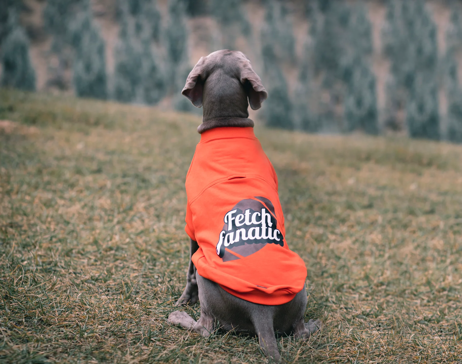 FETCH FANATIC SWEATSHIRT