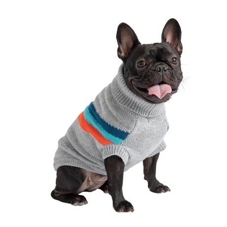 ALPINE KÖPEK SÜVETERİ GRİ