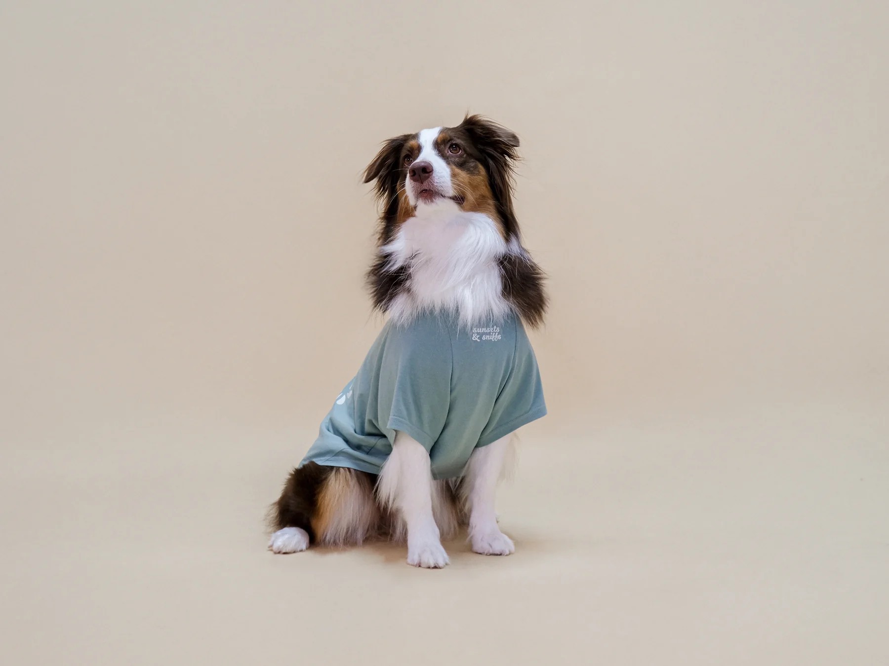 IT'S JUST US TSHIRT SEAFOAM MIST