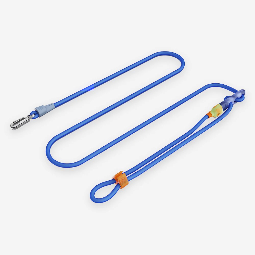 Neopro Hands-Free Gezdirme Tasması - Sapphire