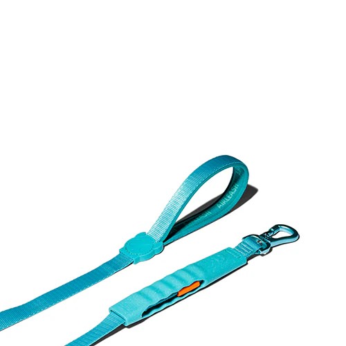 Airleash Gezdirme Tasması