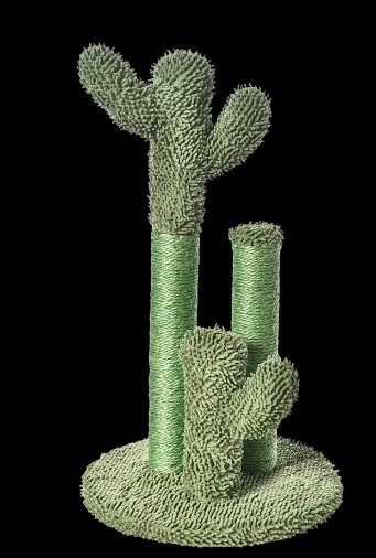 KAKTÜS KEDİ TIRMALAMA