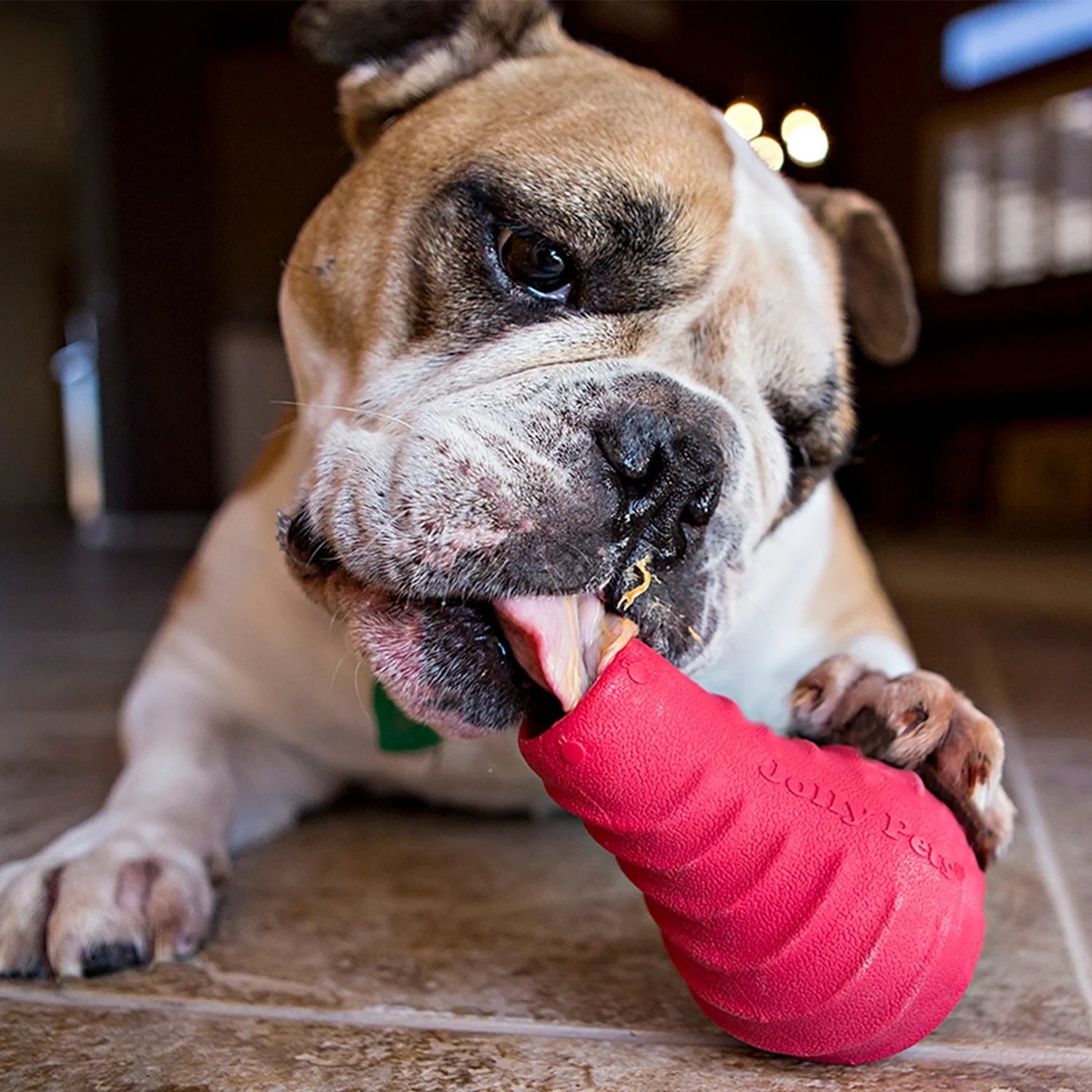 Tuff Toppler Köpek Oyuncağı