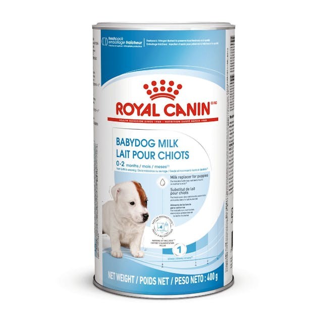 Royal Canin Baby Milk - Babydog