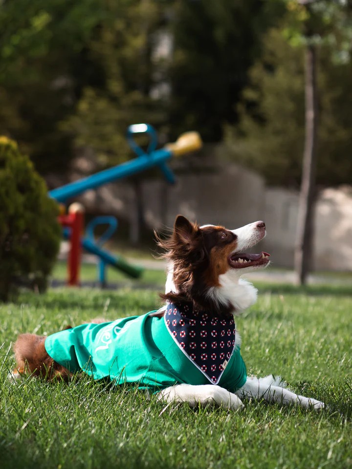 BANDANA SAILOR