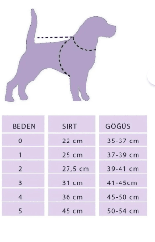Bulutlu köpek kazak pembe