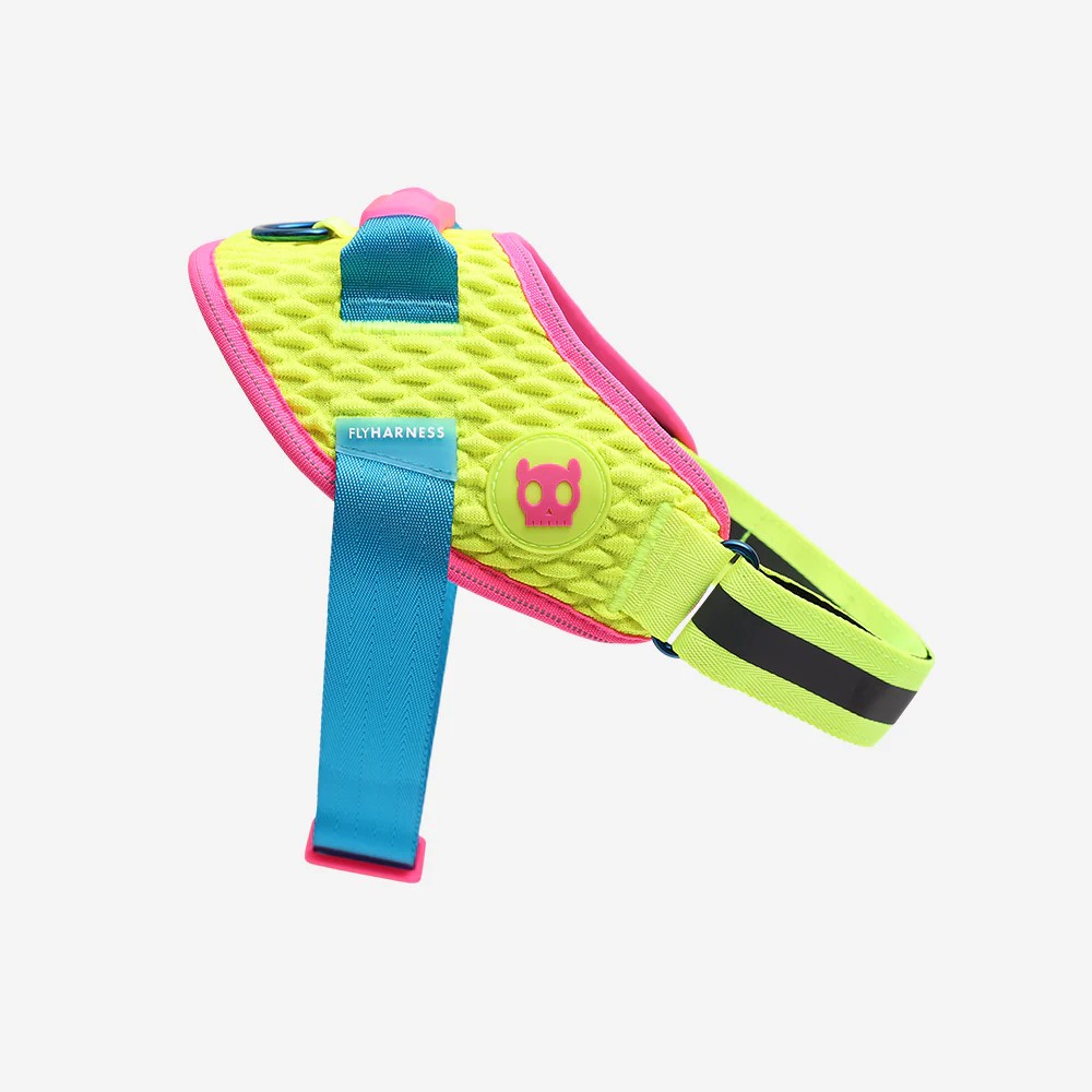 CMYK FlyHarness Göğüs Tasması