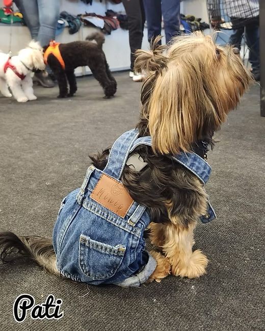 Kot Köpek Salopet