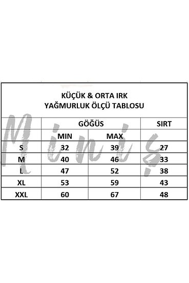 Dinazor Desenli Yağmurluk