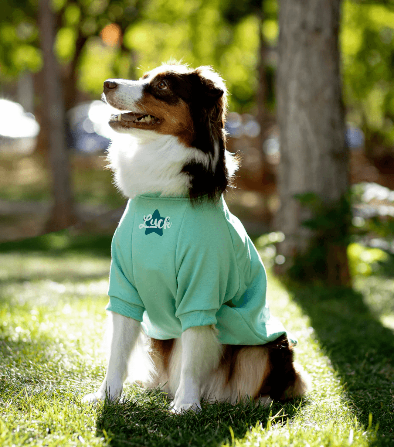 Luck Sweatshirt