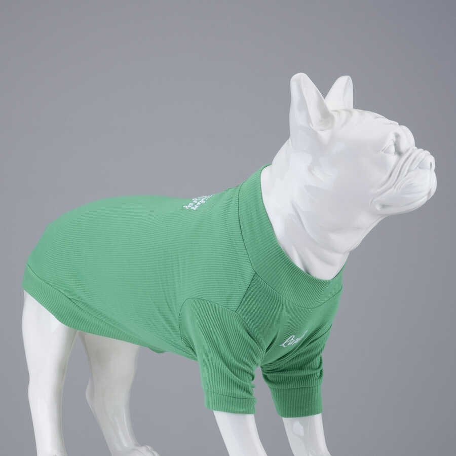 Flex Body - LindodogsMake Today Amazing