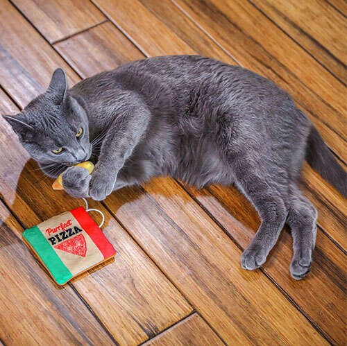 Purrfect Pizza Kedi Otlu ve Matatabili 2 li Kedi Oyuncağı