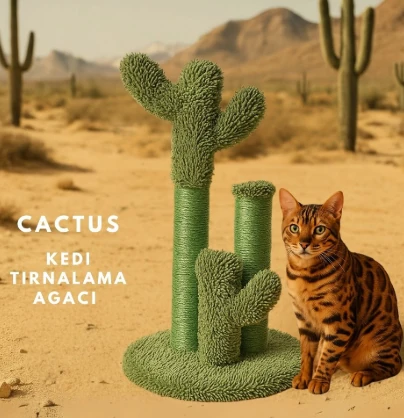 KAKTÜS KEDİ TIRMALAMA