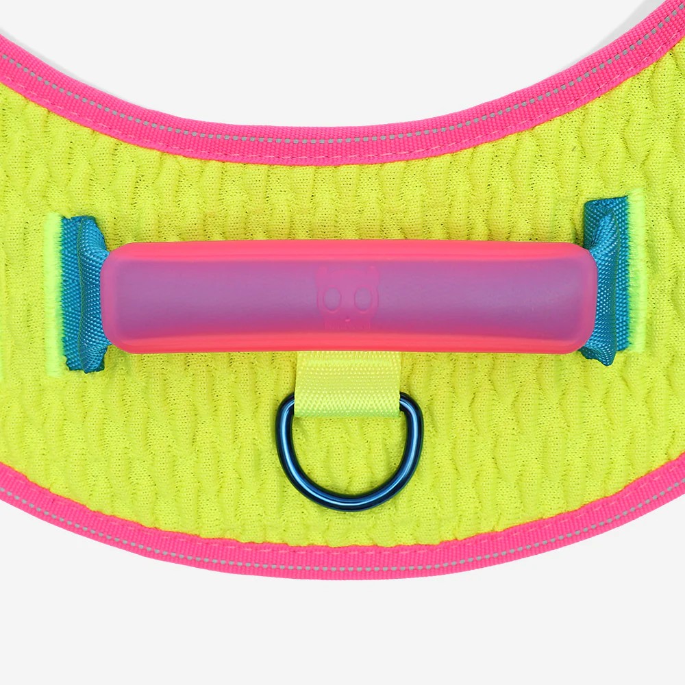 CMYK FlyHarness Göğüs Tasması