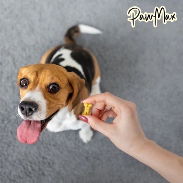 Ördek Etli Köpek Ödül Maması