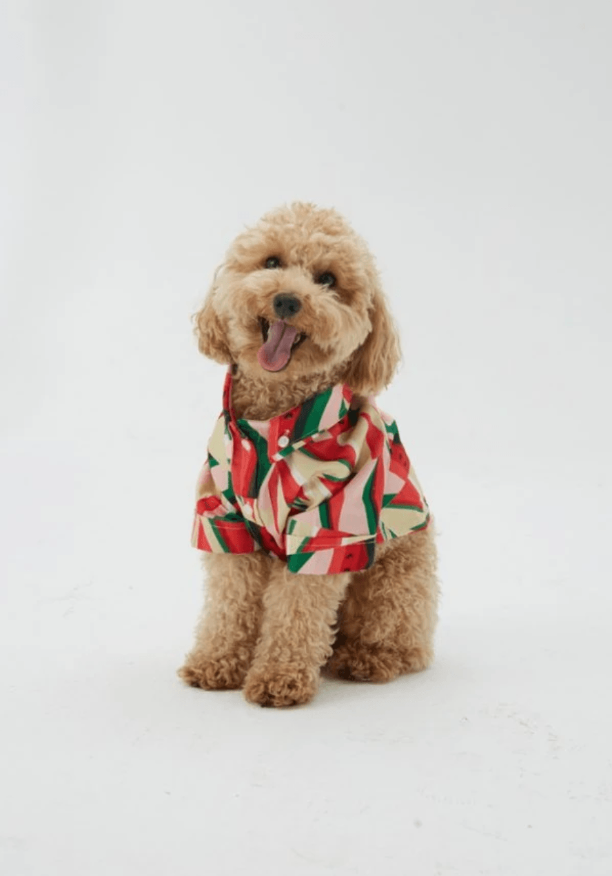 Watermelon Shirt