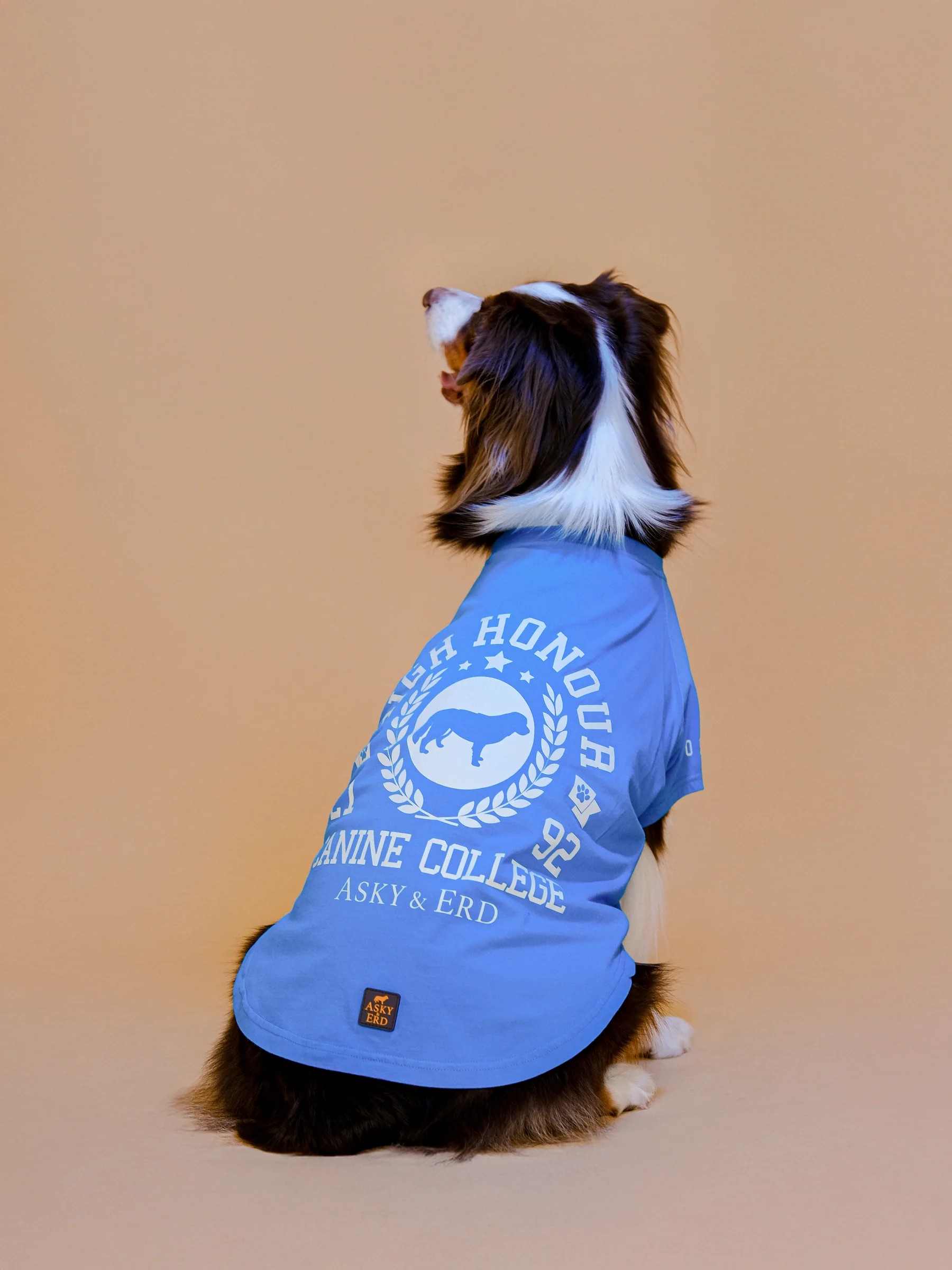 CANINE COLLEGE HIGH HONOUR TSHIRT 
