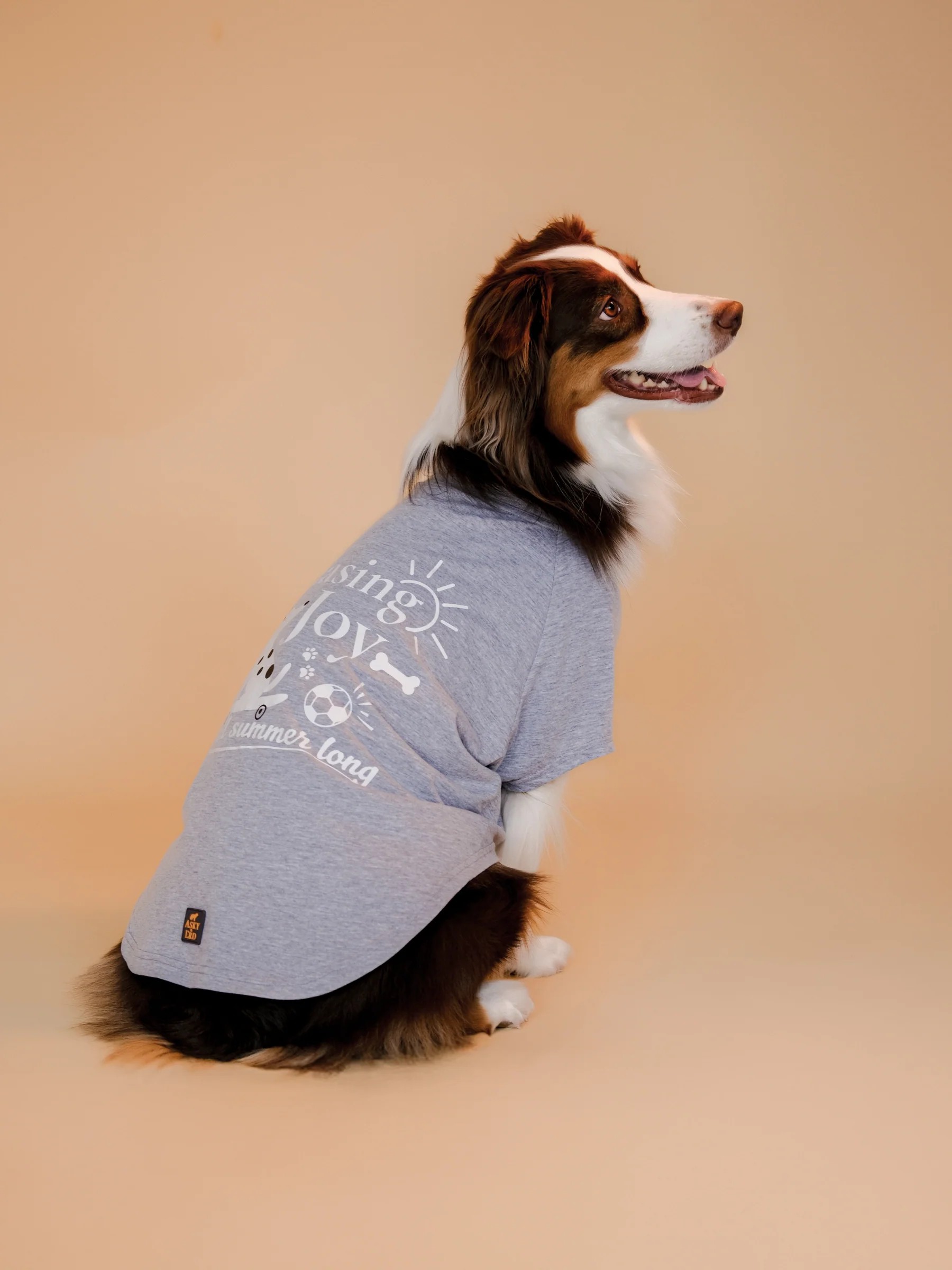 CHASING JOY URBAN GREY