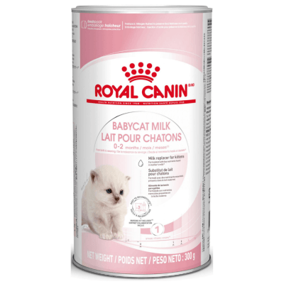 Royal Canin Baby Milk - Babycat