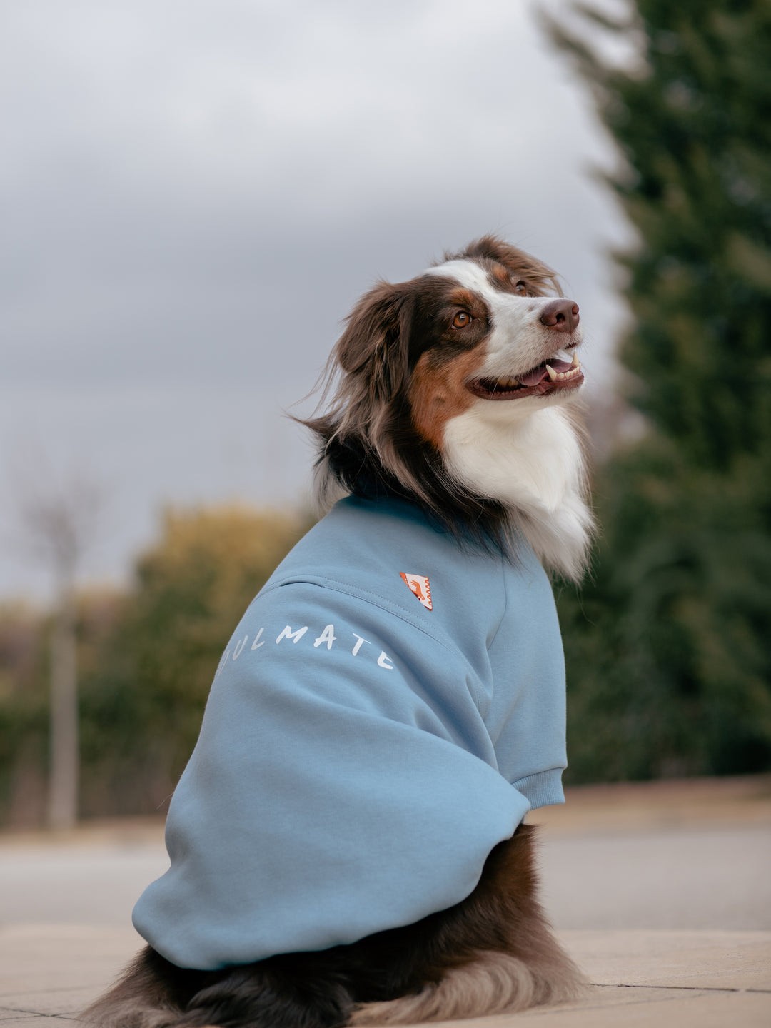 SOULMATE DOG SWEATSHİRT | MİST BLUE