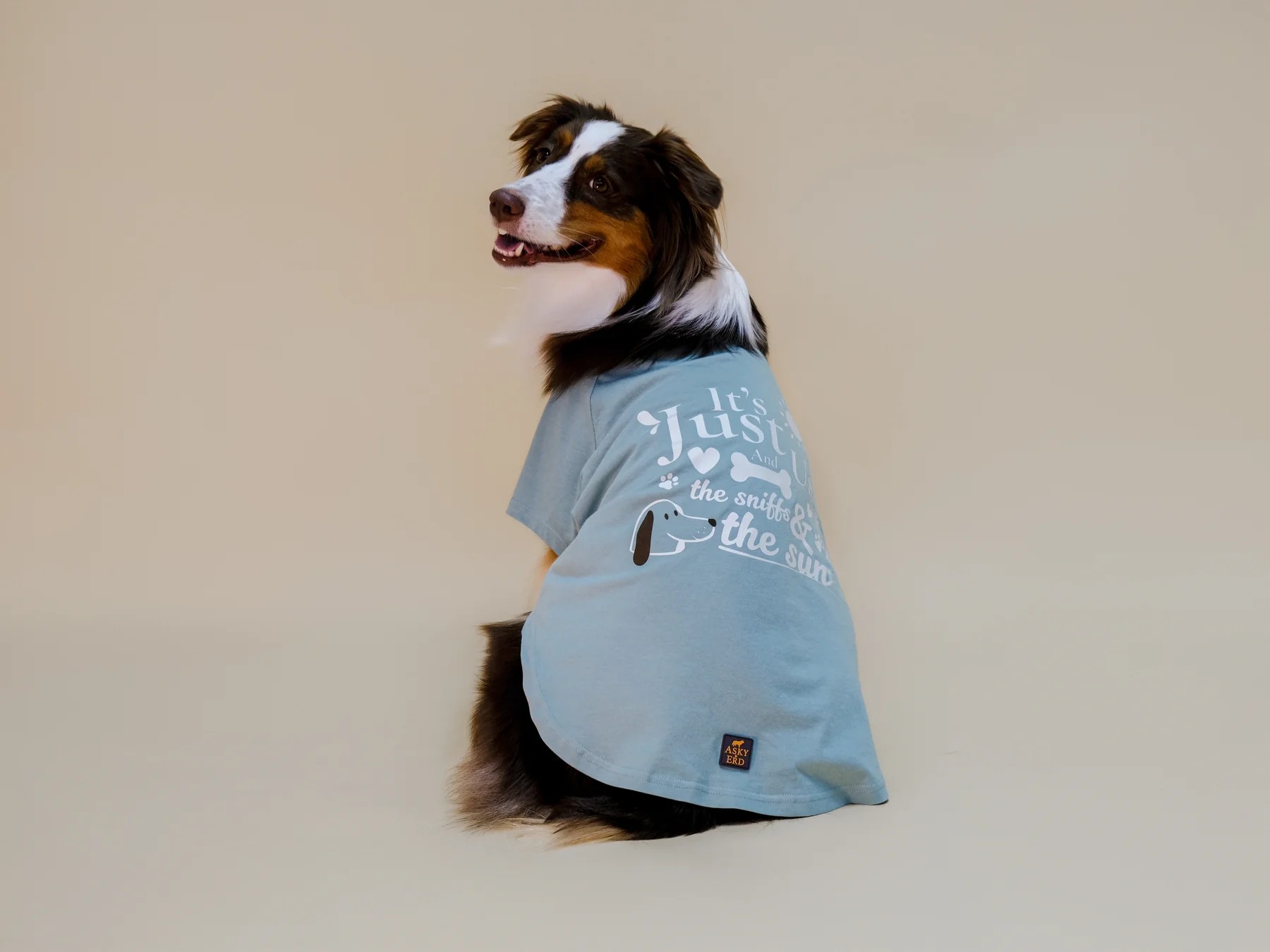 IT'S JUST US TSHIRT SEAFOAM MIST