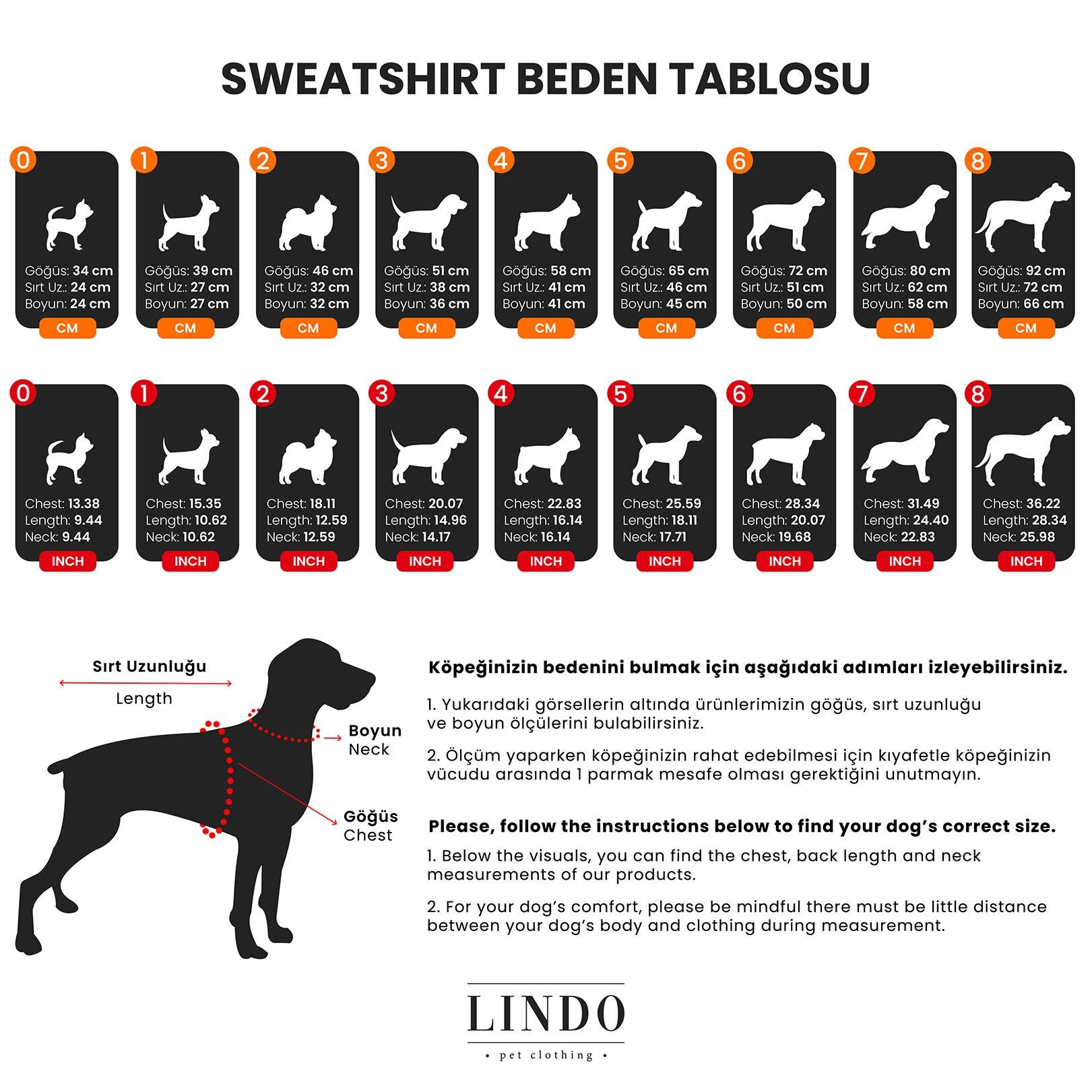 College Köpek Sweatshirt