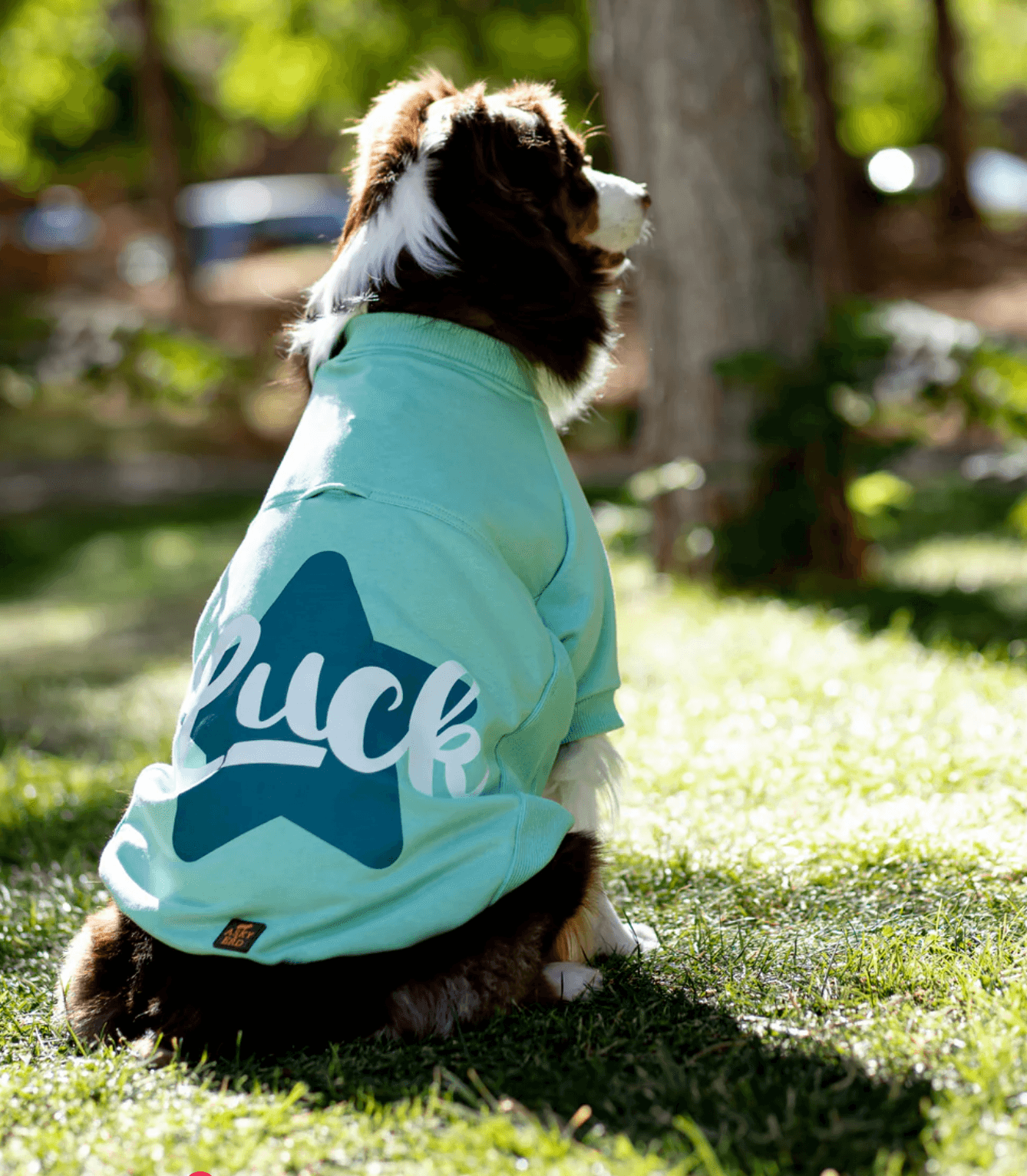 Luck Sweatshirt