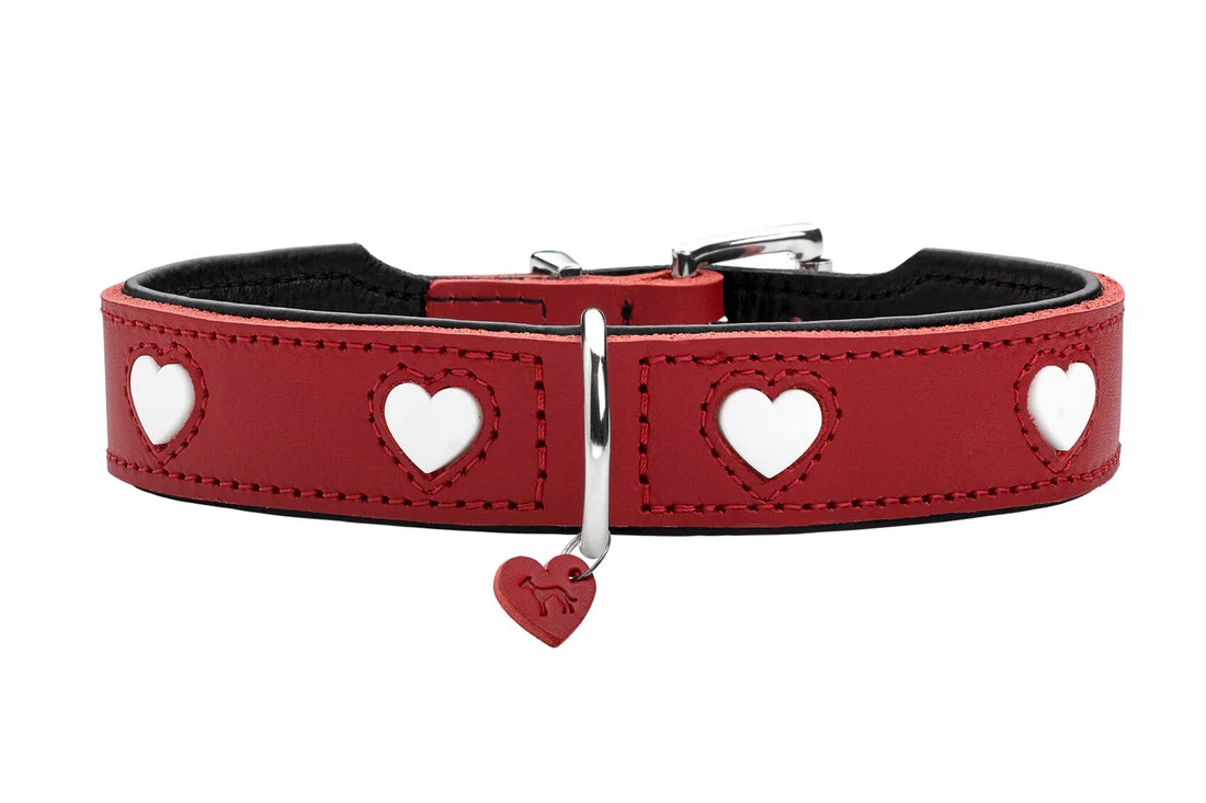 Love Boyun Tasması Medium/55