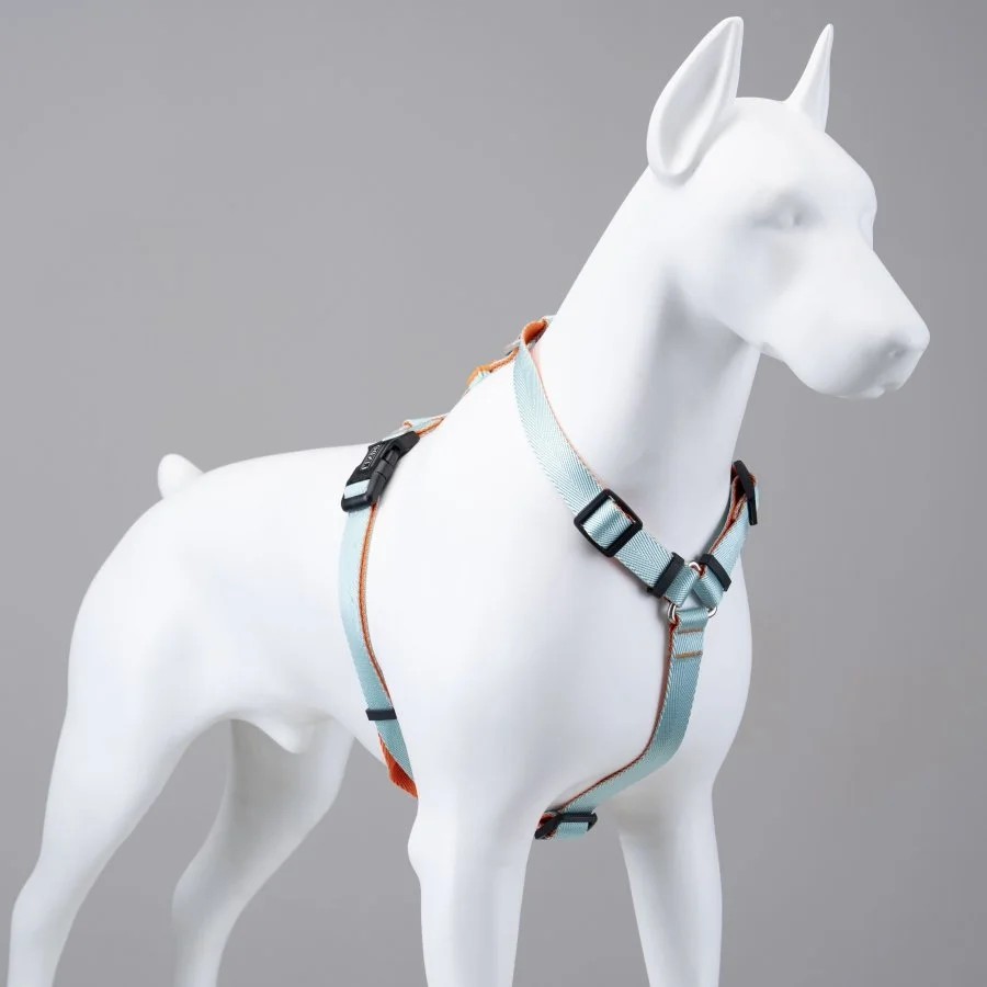 Urban Glow Mint H Tipi Göğüs Tasması