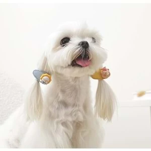 GLAM KÖPEK TOKASI 2Lİ