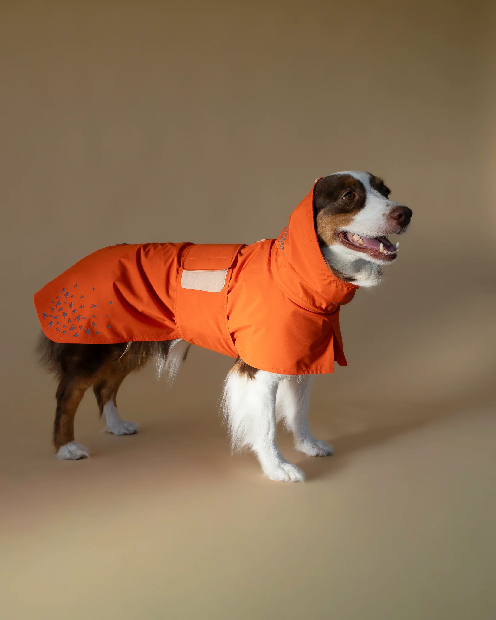 SEATTLE RAINCOAT AMBER GLOW