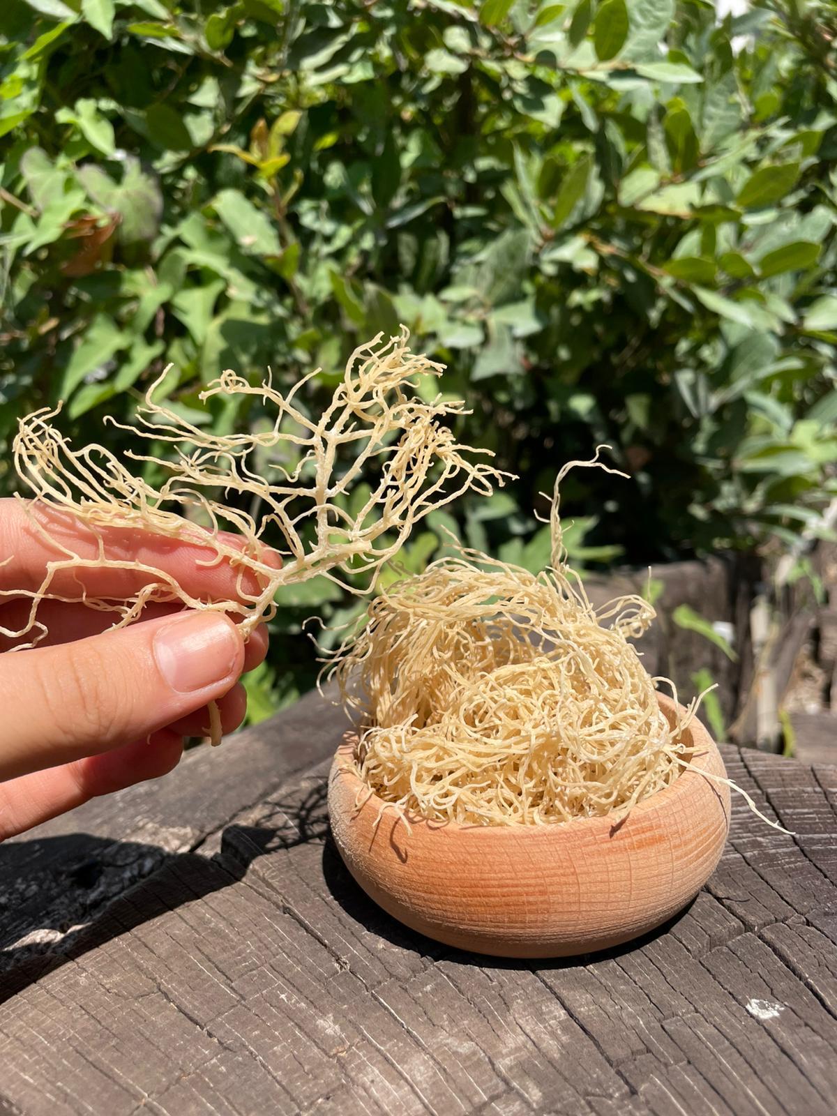 Deniz kadayıfı 70gr