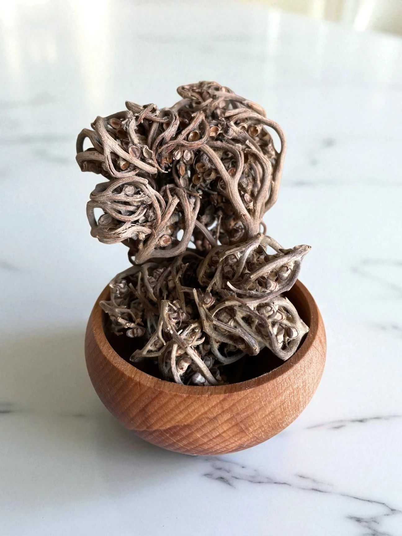 Meryem ana eli 1 adet