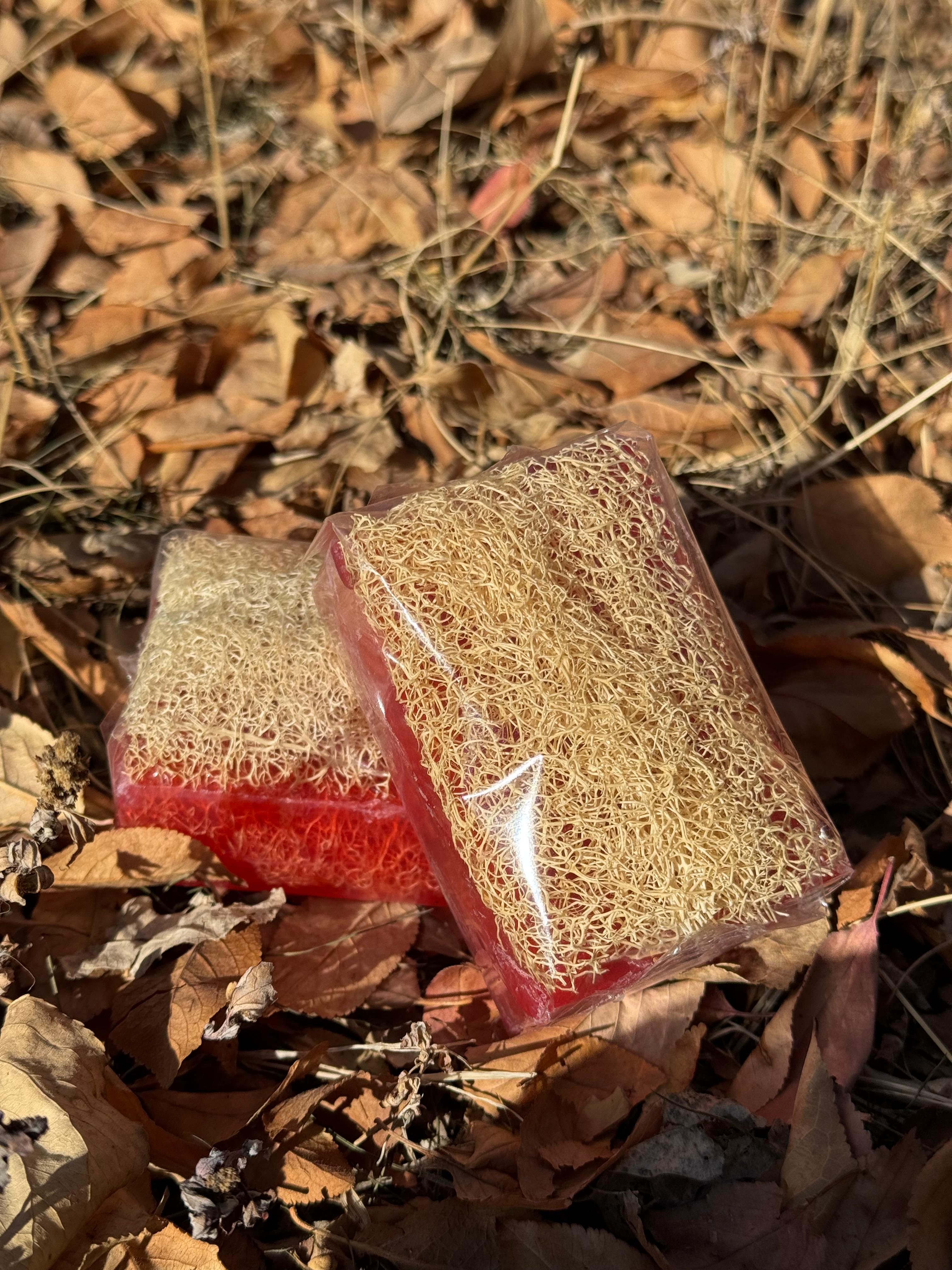 Doğal Kabak Lifli Kojıc Sabun 100gr