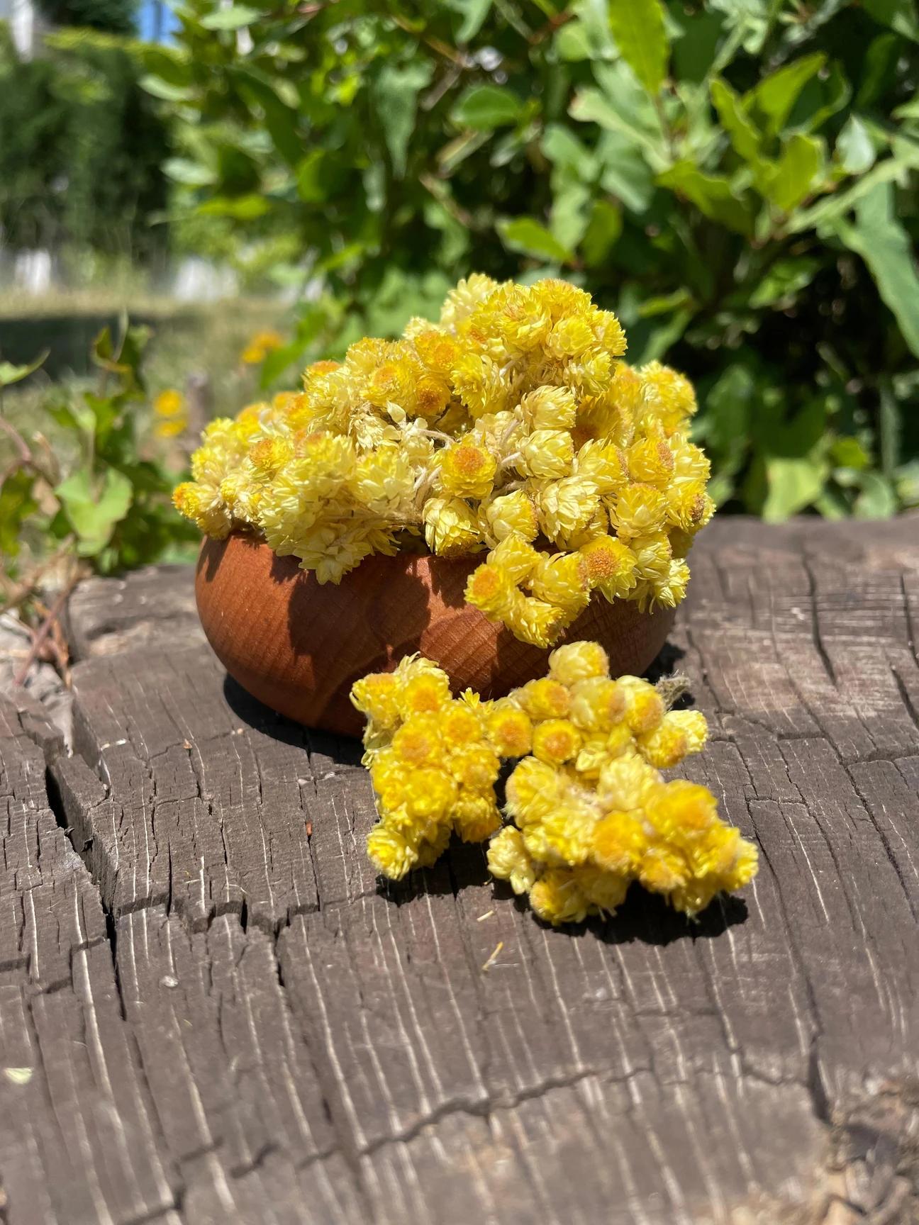 Altın otu Ölmez çiçek 50gr