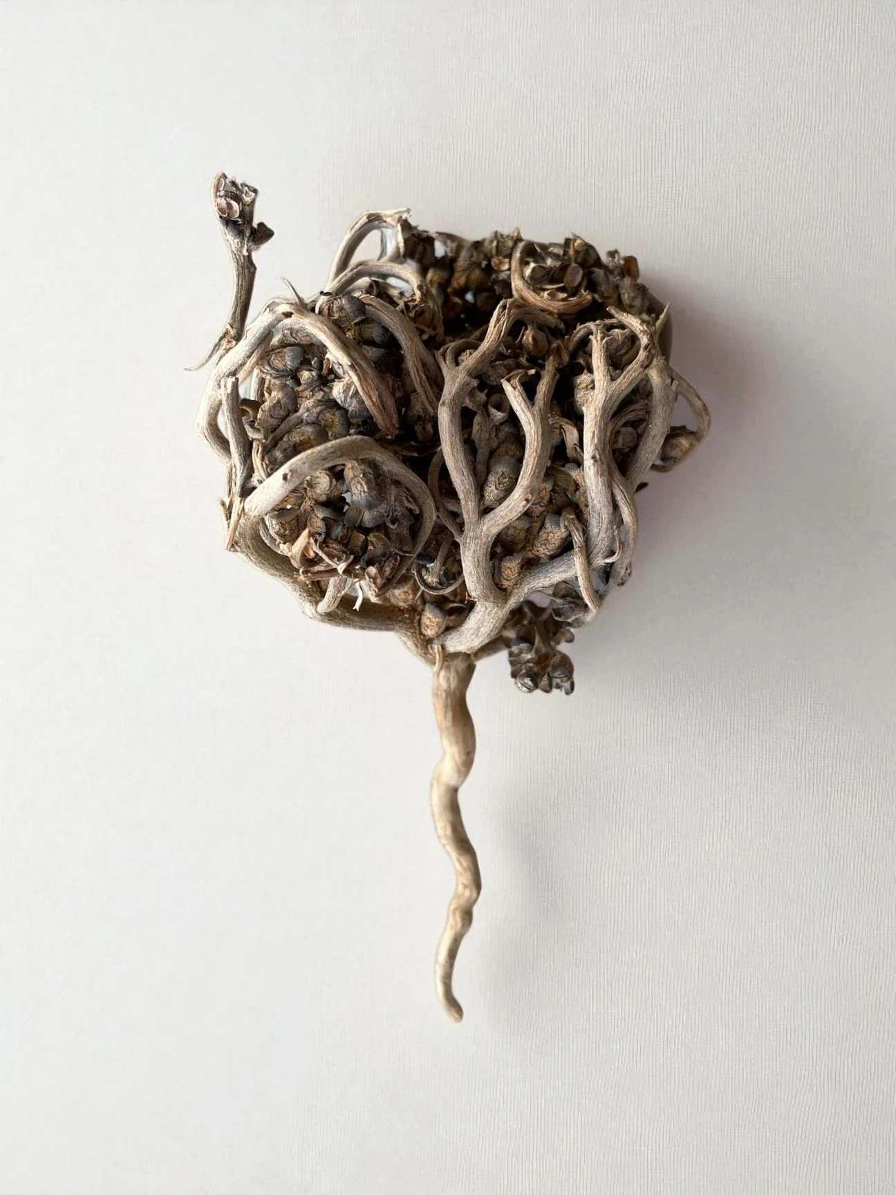 Meryem ana eli 1 adet