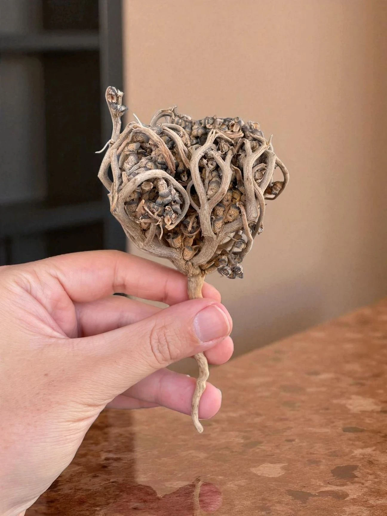 Meryem ana eli 1 adet