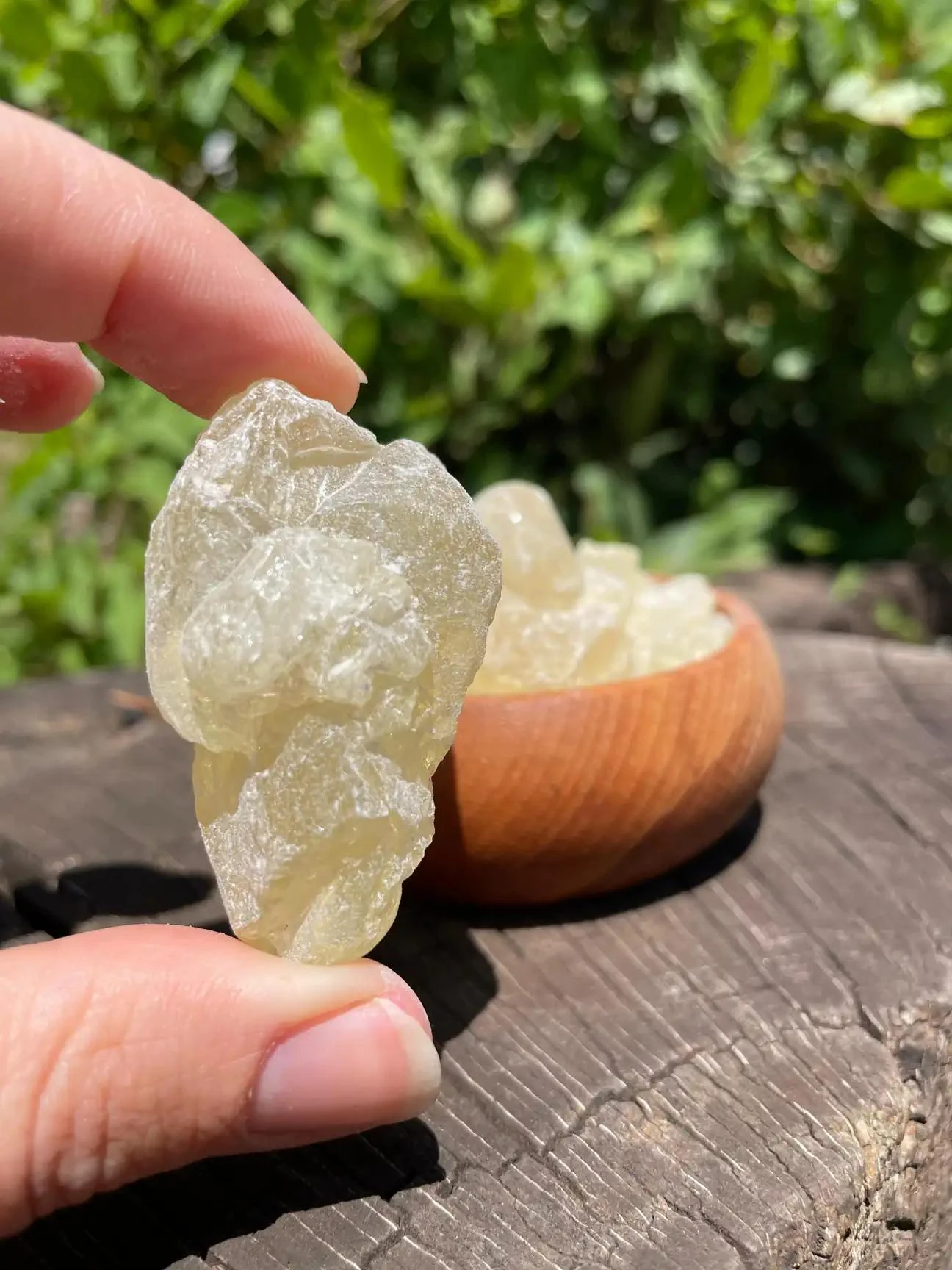 Sandaloz sakızı 200gr