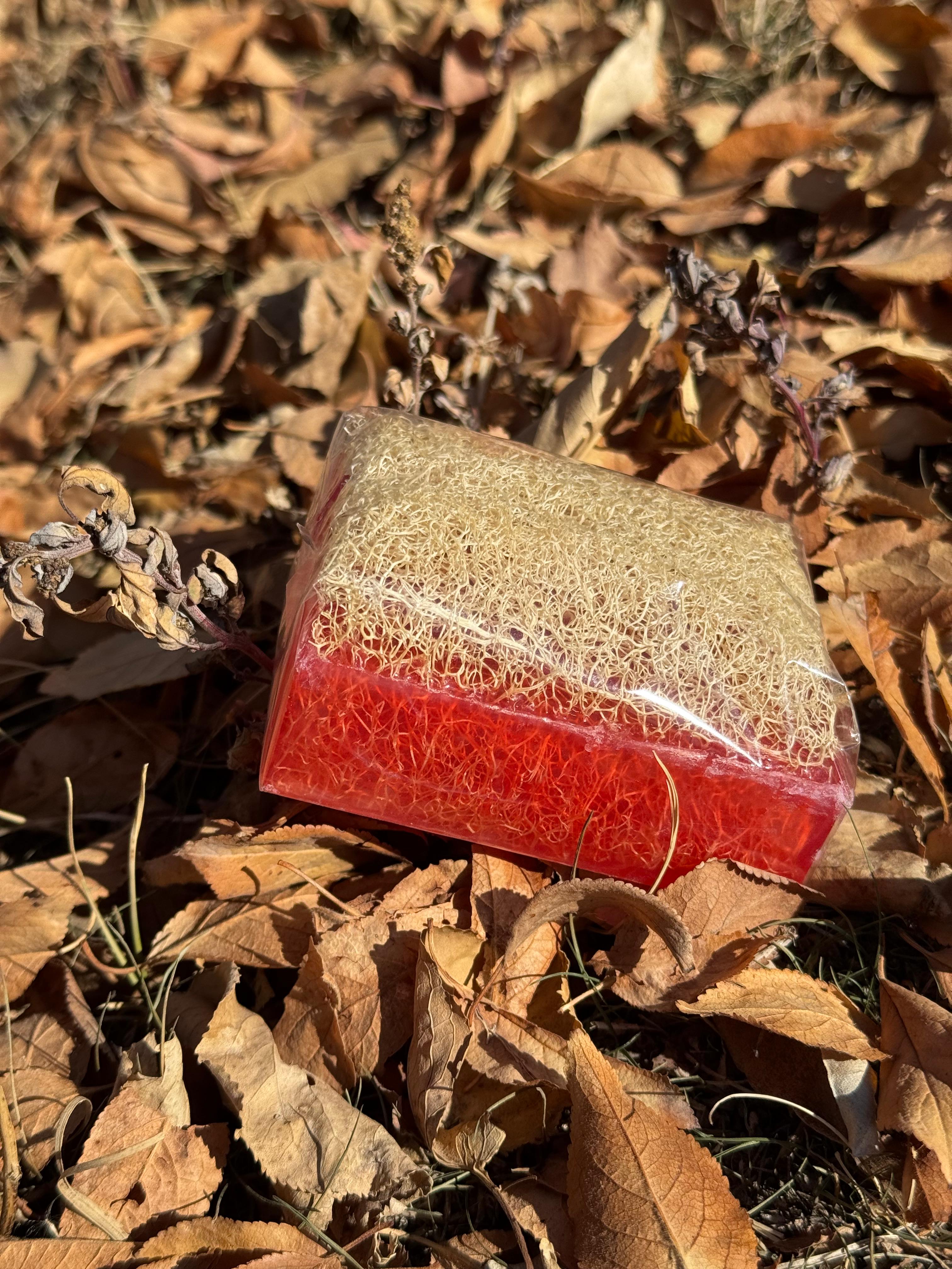 Doğal Kabak Lifli Kojıc Sabun 100gr