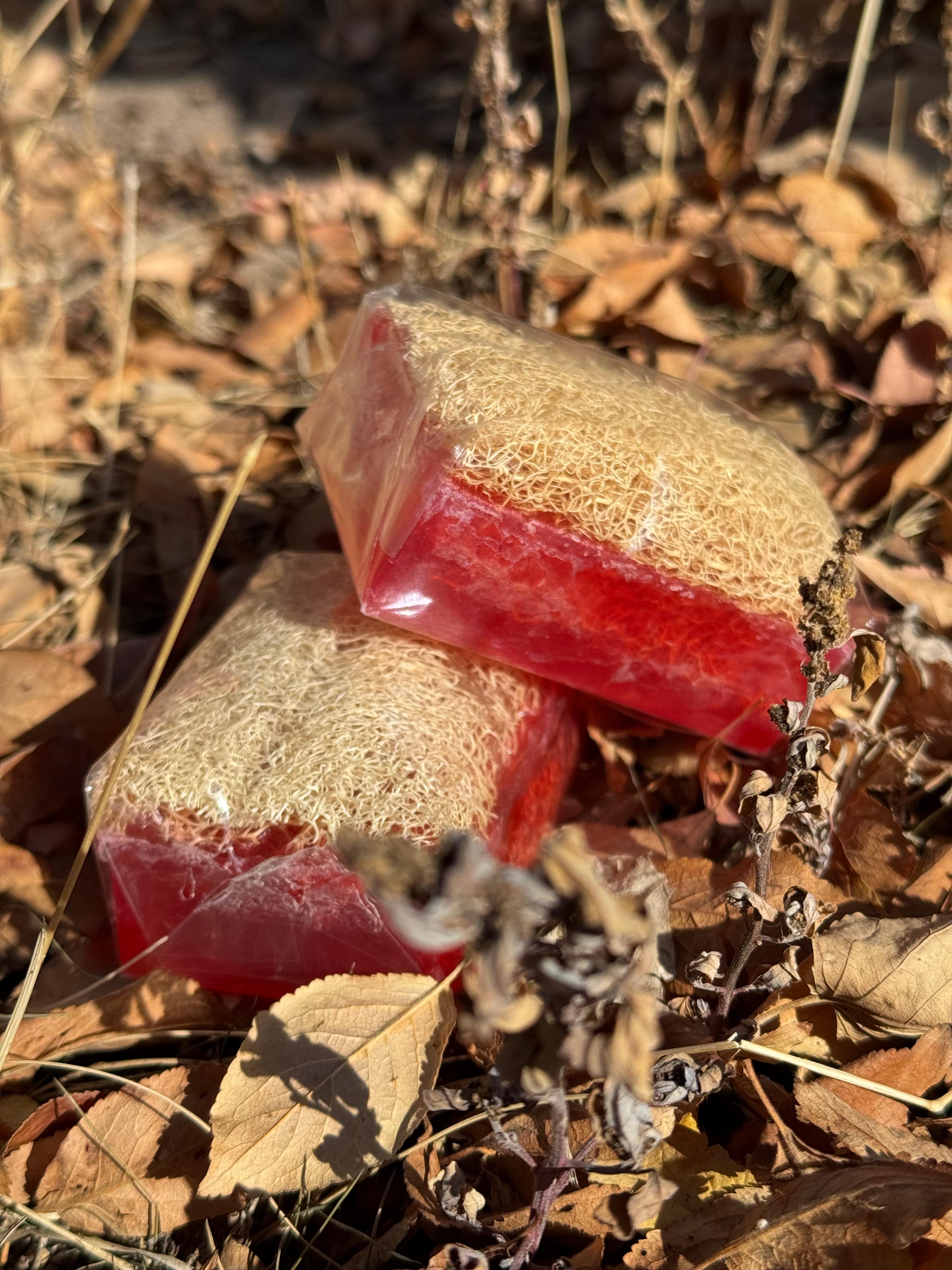 Doğal Kabak Lifli Kojıc Sabun 100gr