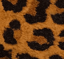 Leopar