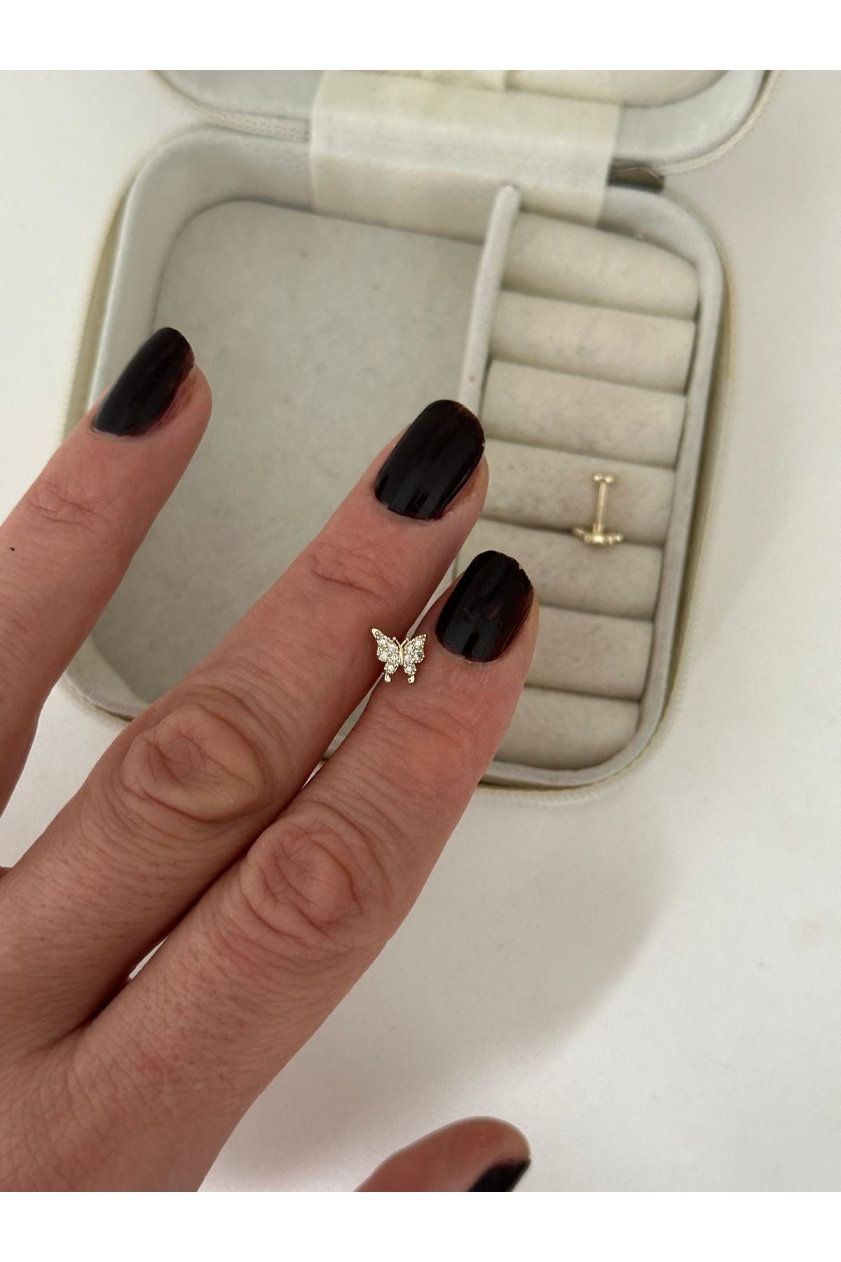 Tragus 61