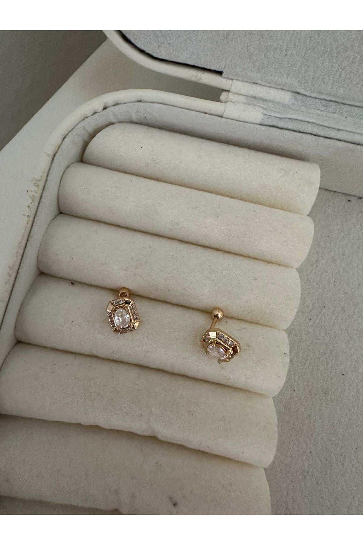 Tragus4