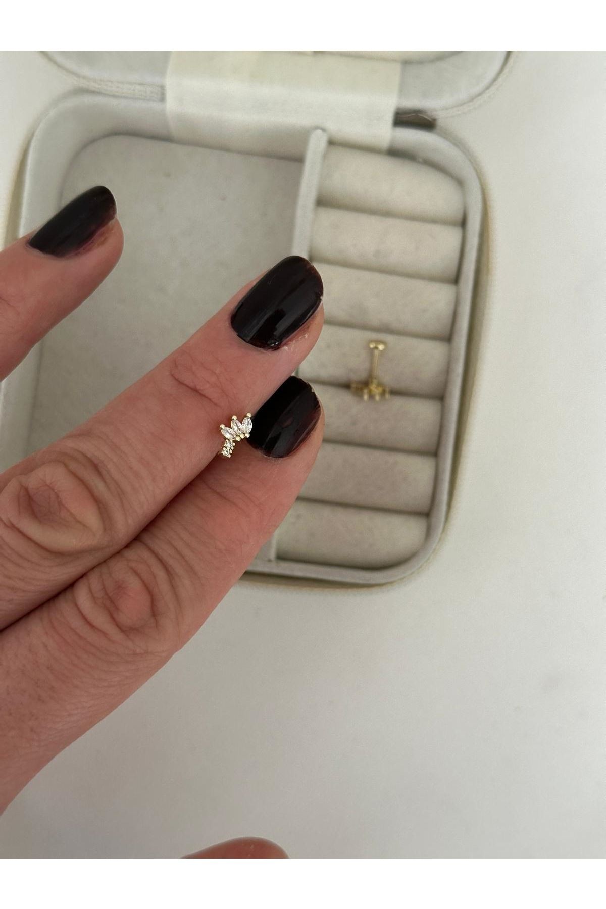 Tragus 65