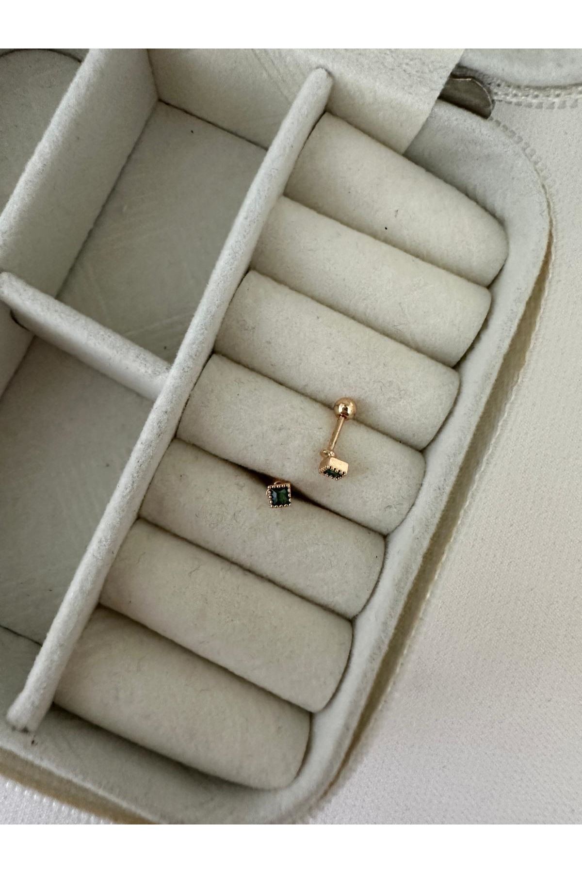 Tragus21
